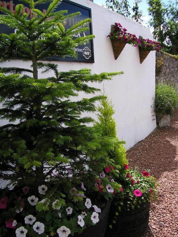 The Robertson Arms Hotel Carnwath Экстерьер фото