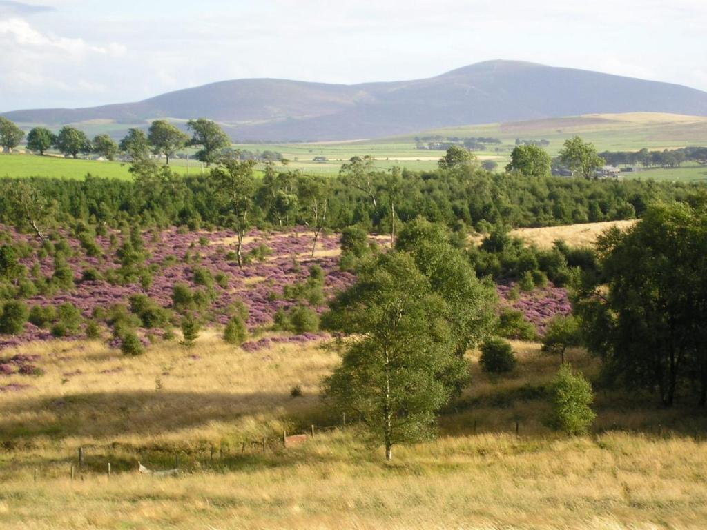 The Robertson Arms Hotel Carnwath Экстерьер фото