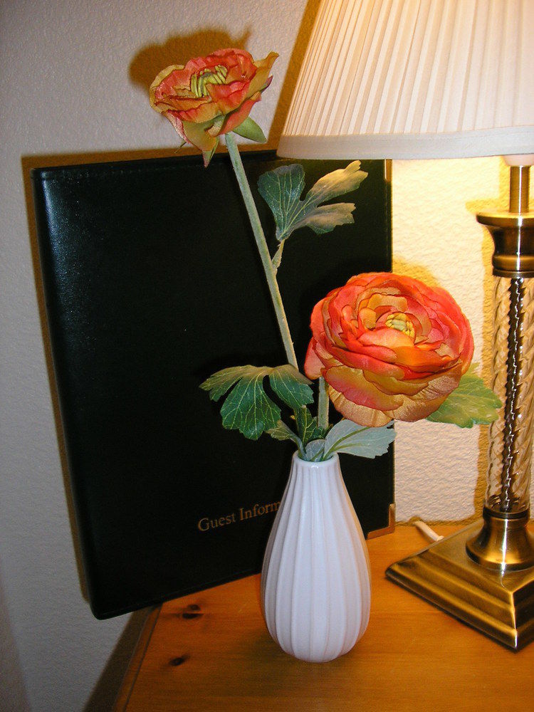 The Robertson Arms Hotel Carnwath Экстерьер фото