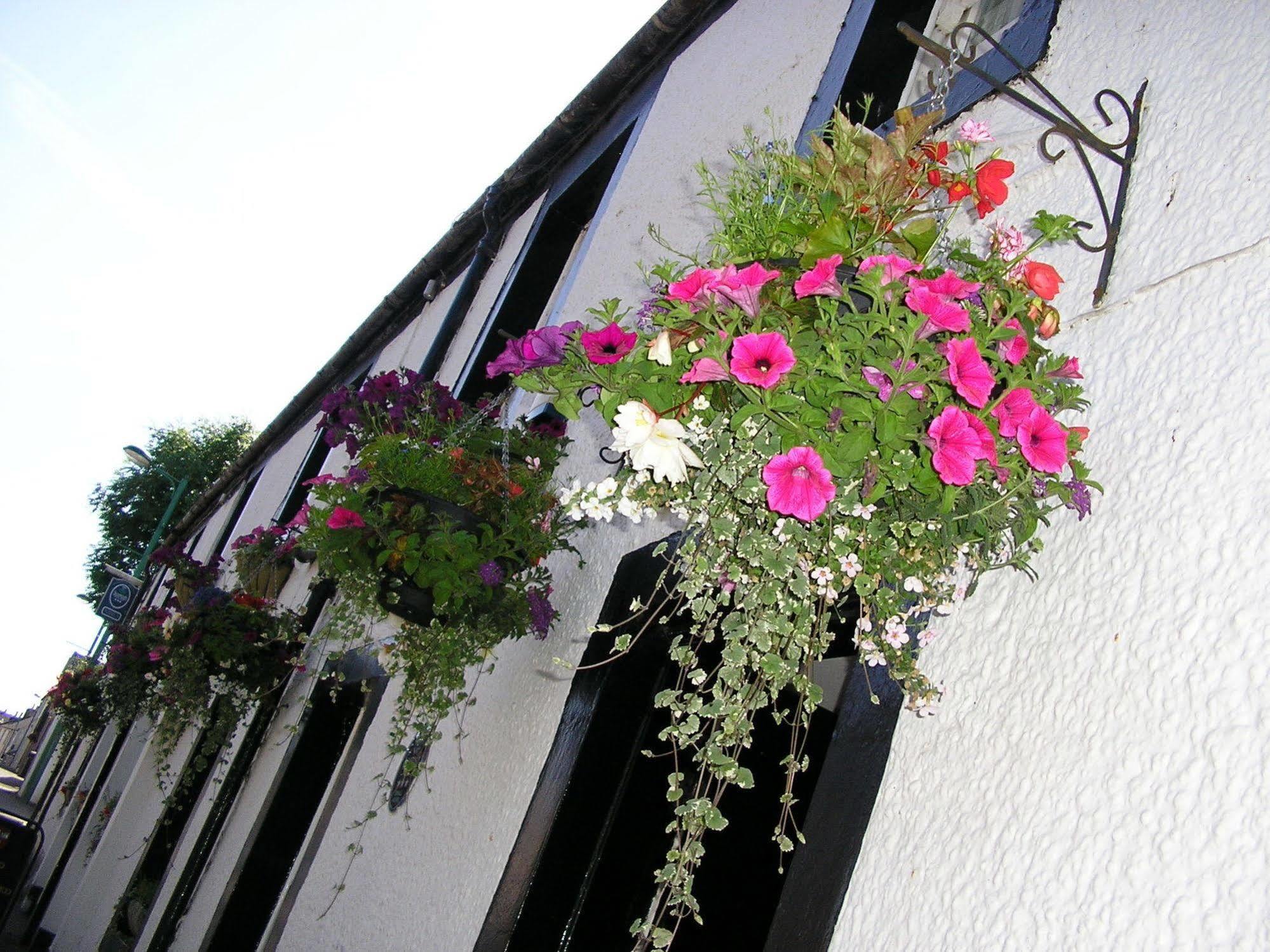 The Robertson Arms Hotel Carnwath Экстерьер фото